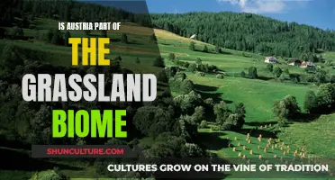 Austria's Grassland Biome: Unique Ecosystems and Biodiversity