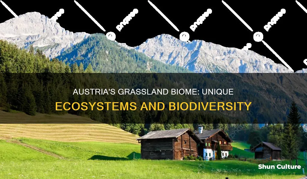 is austria part of the grassland biome