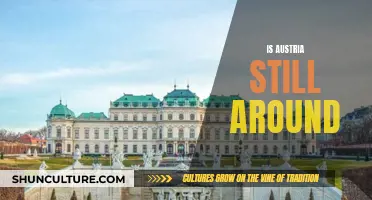 Austria's Existence: Is It Still a Going Concern?