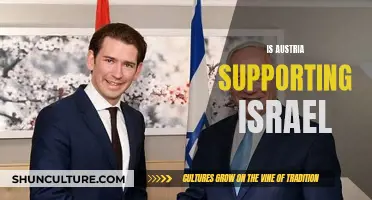 Austria's Support for Israel: A Complex Relationship