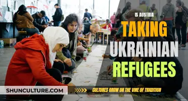 Austria's Open Arms: Welcoming Ukrainian Refugees