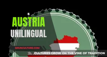 Austria's Language Diversity: Beyond Unilingualism