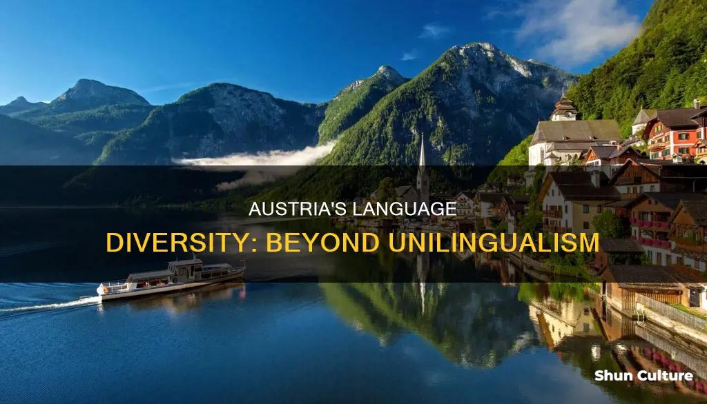 is austria unilingual