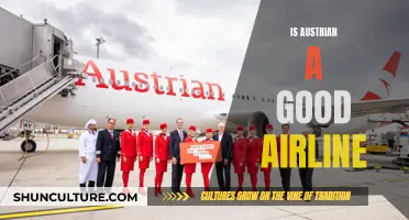 Austrian Airlines: A Top-Tier Flying Experience?