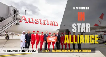 Star Alliance: Austrian Air's Membership Benefits and Privileges