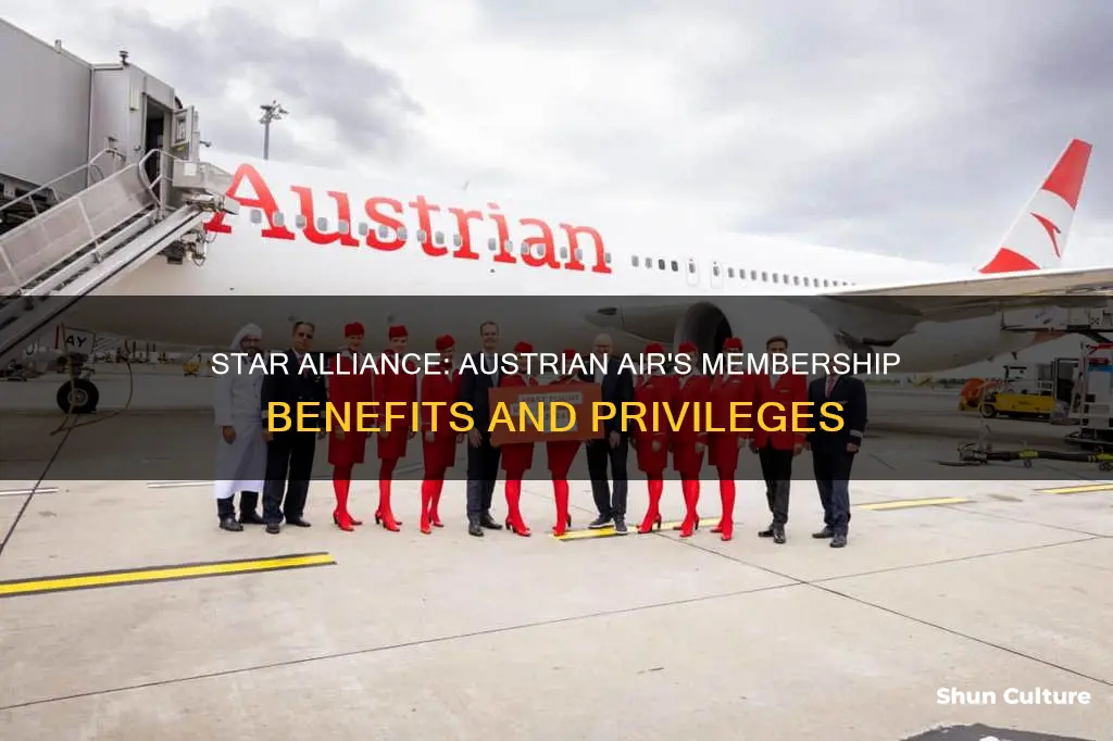 is austrian air in star alliance