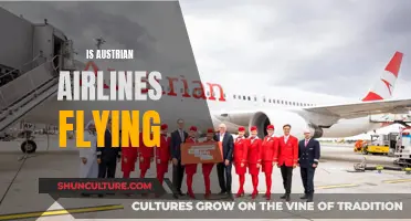 Austrian Airlines: Taking Off or Grounded?