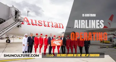 Austrian Airlines: Operational Status and Future Plans