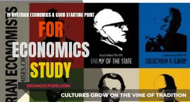 Austrian Economics: A Solid Economics Study Foundation?