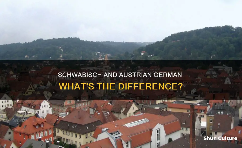 is austrian german schwabisch