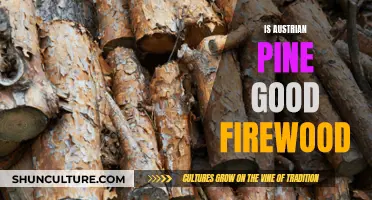 Austrian Pine Firewood: Worth the Burn?