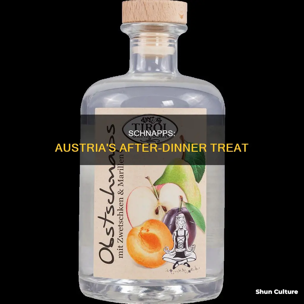 is austrian schnapps an after dinner drink