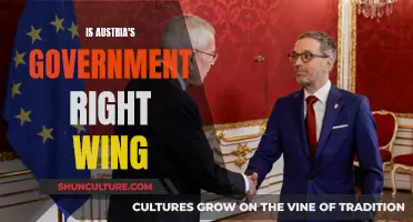 Austria's Right-Wing Government: A Comprehensive Overview