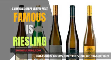 Austria's Riesling: A Grape Variety's Fame