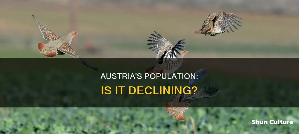 is austrias population on the deecline