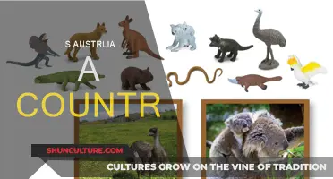 Exploring Australia's Nationhood: A Country's Identity