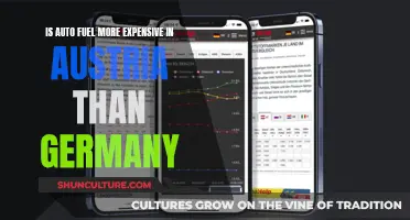 Fuel Costs: Austria vs Germany — Who Wins?