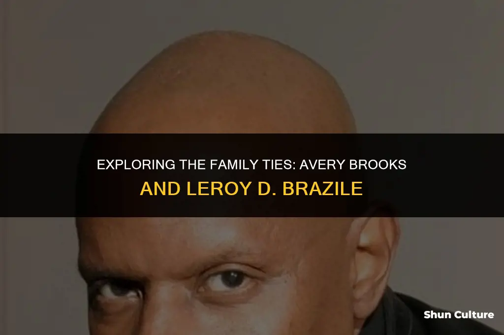 is avery brooks related to leroy d brazile