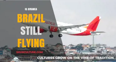 Avianca Brazil's Current Status: Still Soaring or Grounded?