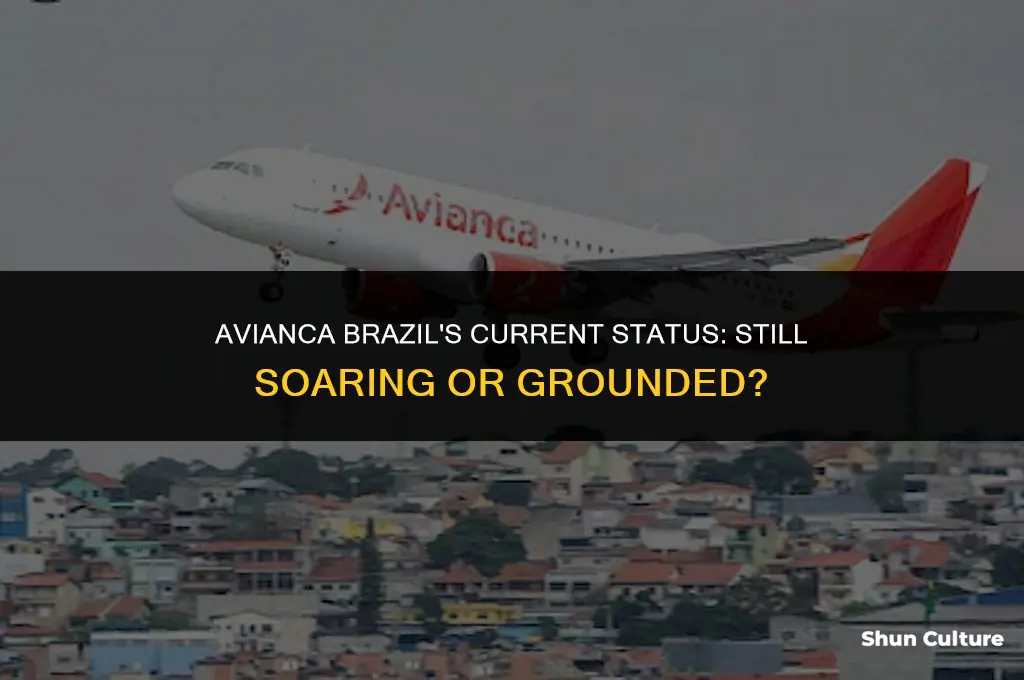 is avianca brazil still flying