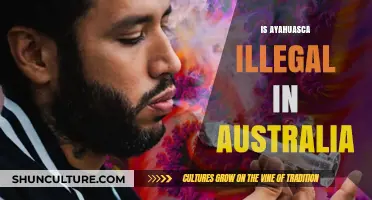 Ayahuasca in Australia: Is It Legal?