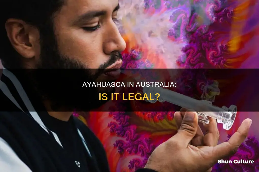 is ayahuasca illegal in australia