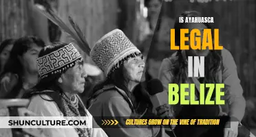 Ayahuasca's Legality in Belize: Exploring the Grey Area