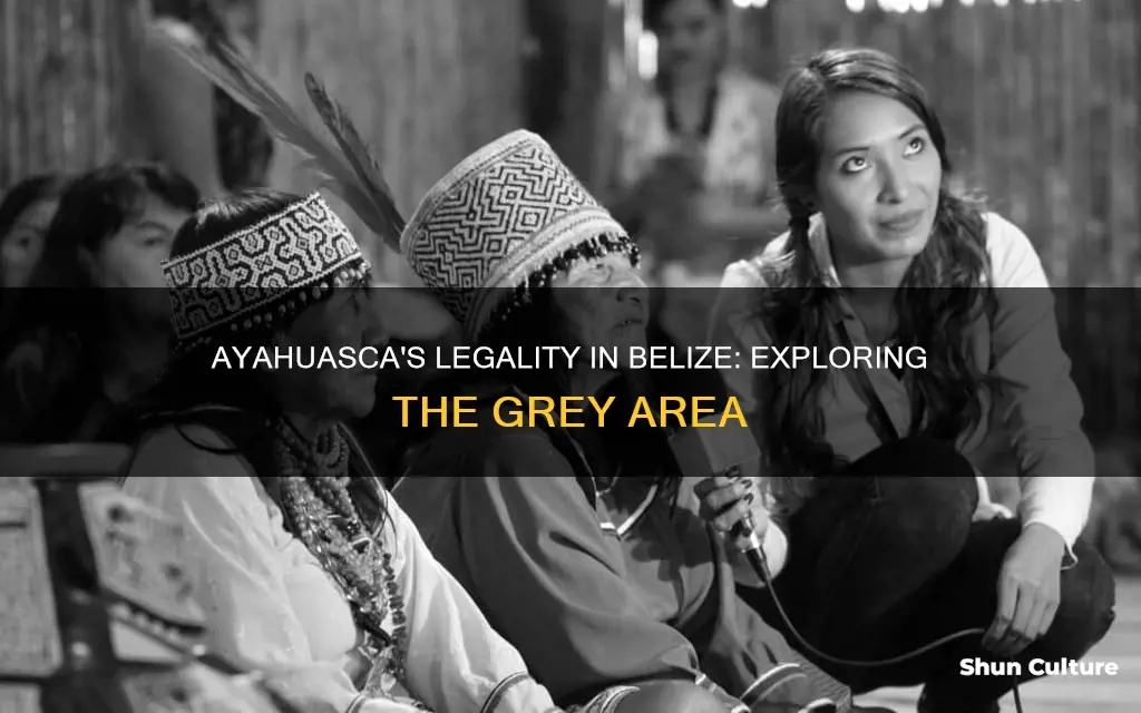 is ayahuasca legal in belize