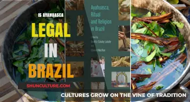 Exploring Ayahuasca's Legal Landscape in Brazil: A Comprehensive Guide