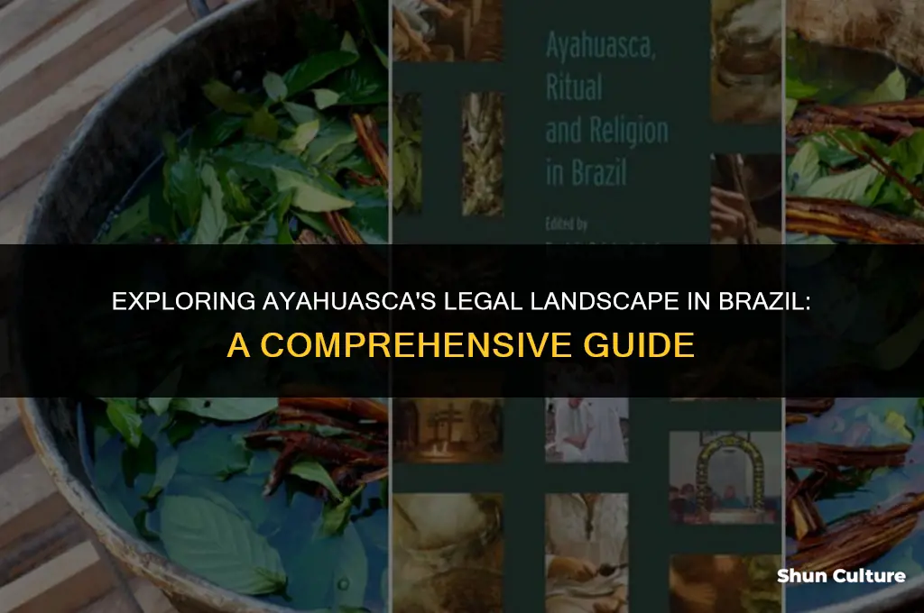 is ayahuasca legal in brazil