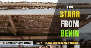 Exploring Ayra Starr's Roots: Is She from Benin?