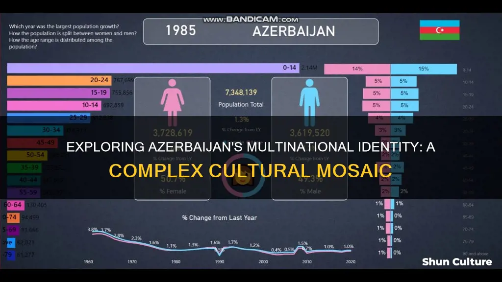 is azerbaijan a multinational state