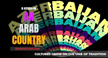 Exploring Azerbaijan's Cultural and Ethnic Identity: Arab or Not?