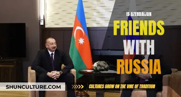 Russia-Azerbaijan Relations: Friends or Foes?