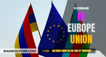 Azerbaijan's Place in the European Union: A Complex Question