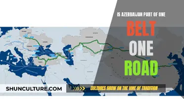 Azerbaijan's Role in China's Belt and Road Initiative