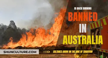 Back Burning in Australia: Is It Legal?