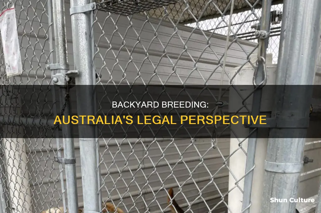 is backyard breeding illegal in australia