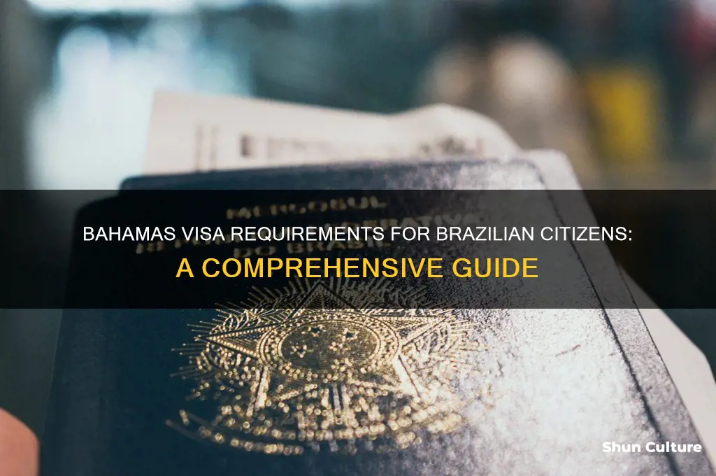 is bahamas visa free to brazil