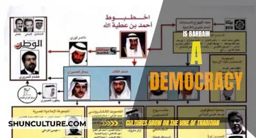 Bahrain's Political System: Democracy or Not?