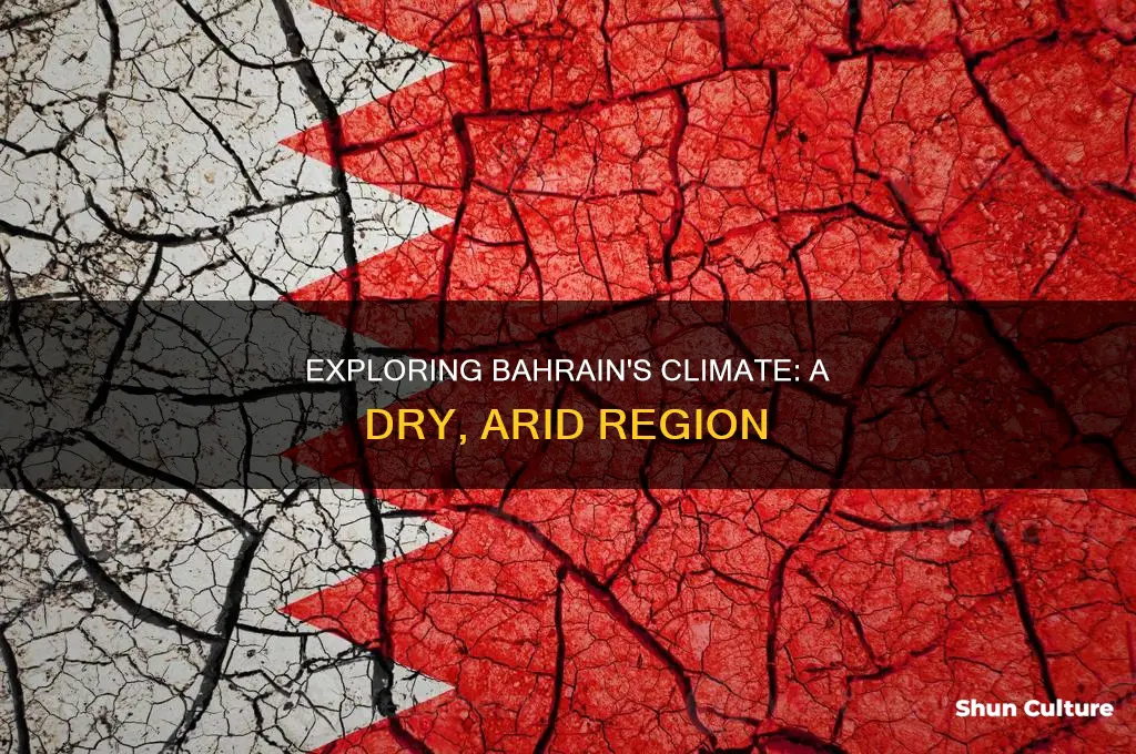 is bahrain a dryer region