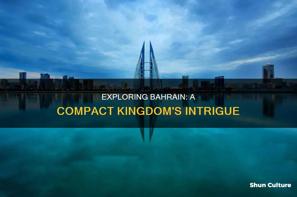 is bahrain a small country