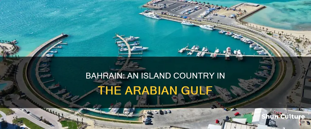 is bahrain an island