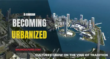 Urbanization in Bahrain: A Developing Country's Evolution