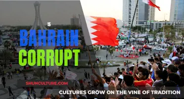 Bahrain's Corruption: A Dark Truth?