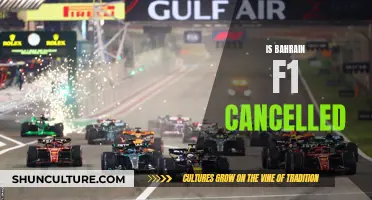 F1 Bahrain Grand Prix: Cancelled or Continued?