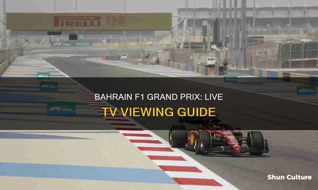 is bahrain f1 on tv