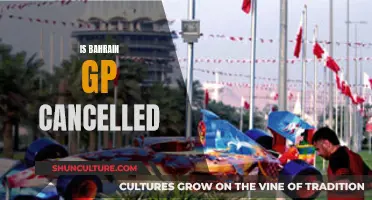 Bahrain GP: Cancelled or Continued?