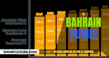 Exploring Bahrain's Climate: Why is it so Humid?