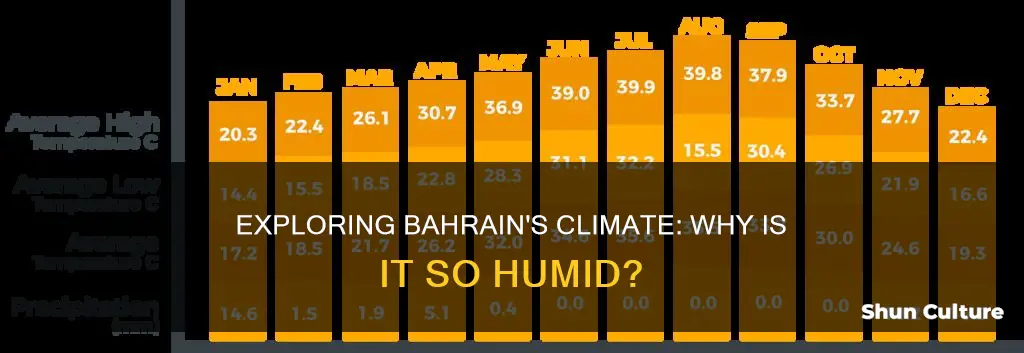 is bahrain humid